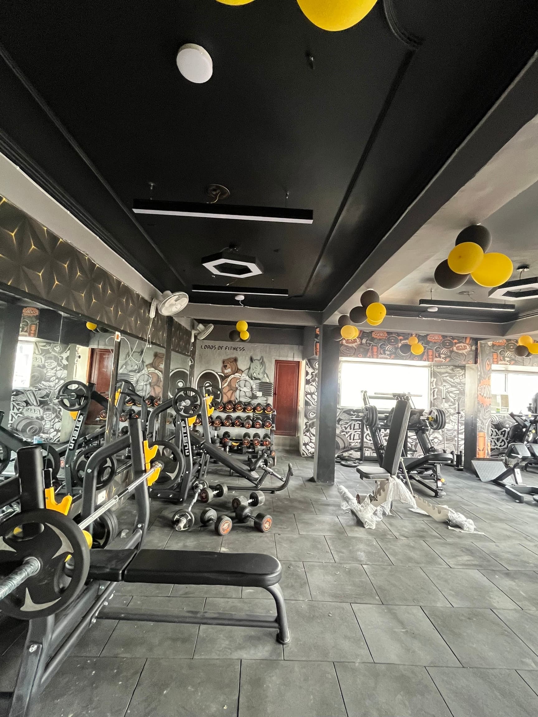 Lords Of Fitness gym interior